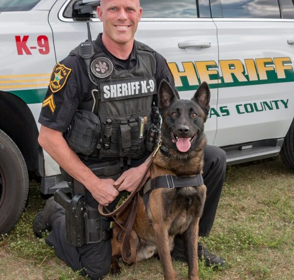 Fla. K-9 deputy ambushed, shot in neck, hand and leg while tracking suspect