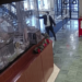 Michigan police release video footage of fatal shooting in department lobby – Law Officer