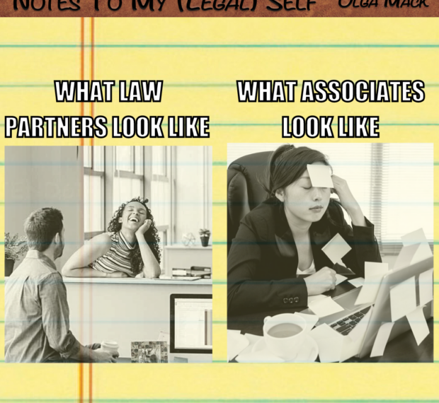 What law partners look like