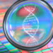 Utah bill aims to regulate how law enforcement uses genetic genealogy data