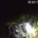 iPhone crash detection feature helps deputies rescue driver from canal