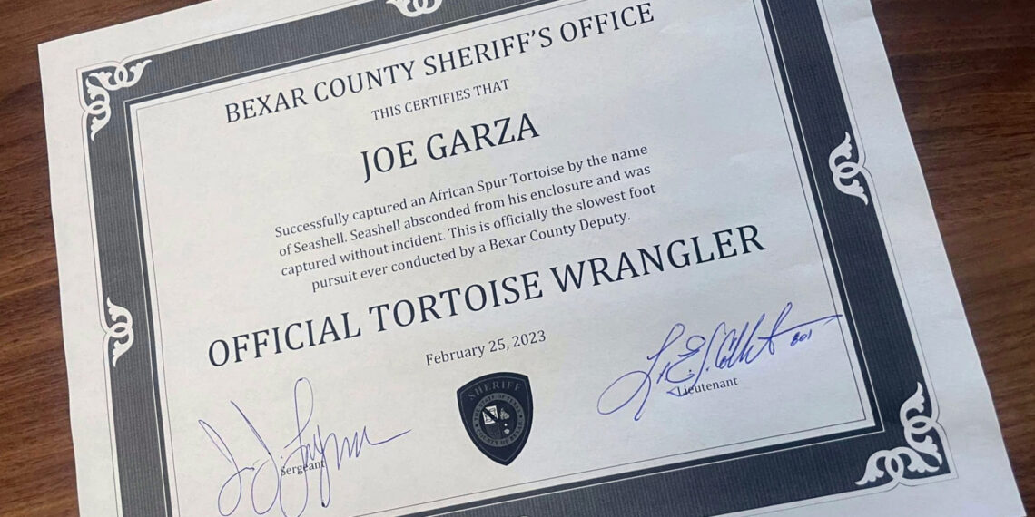 Texas deputy detains runaway tortoise after “slowest foot pursuit” ever