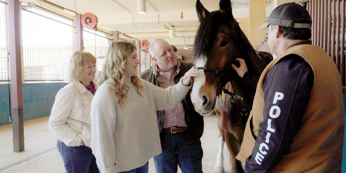 “These are beautiful animals”: Community members gift horses to Dallas police in memory of loved ones