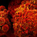 The Public Health Emergency Is Expiring, So What Is the Future of Covid-19 Vaccines?