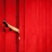 The show