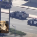 Los Angeles man wanted for attempted murder throws puppy out of moving vehicle during police chase – Law Officer