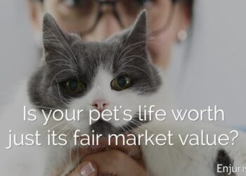 Emotional damages in Michigan vet malpractice case