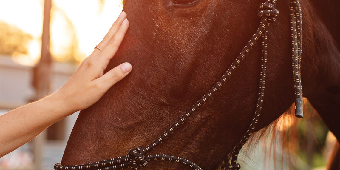Serenity in the saddle - American Police Beat Magazine