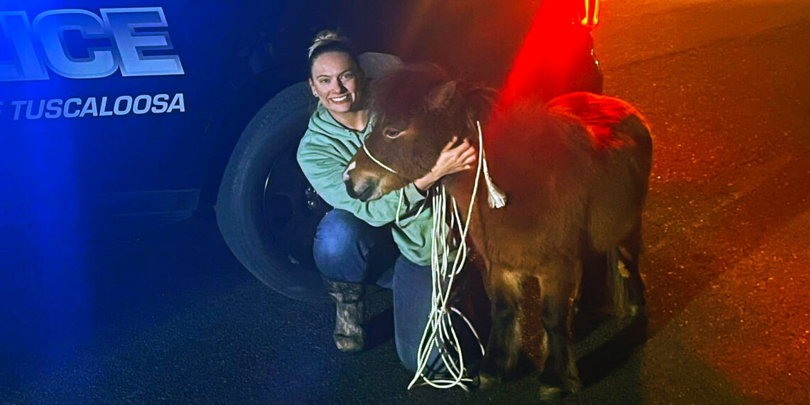 Miniature horse eludes Alabama police for two hours before surrendering and posing for mugshot