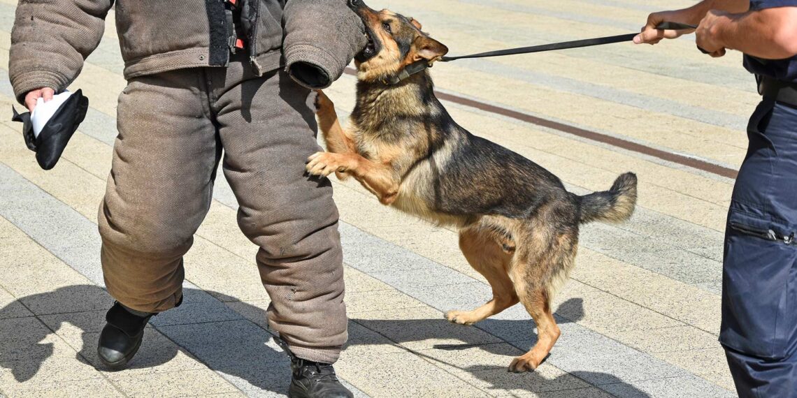 The police reform goal: use of force without options