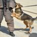 The police reform goal: use of force without options