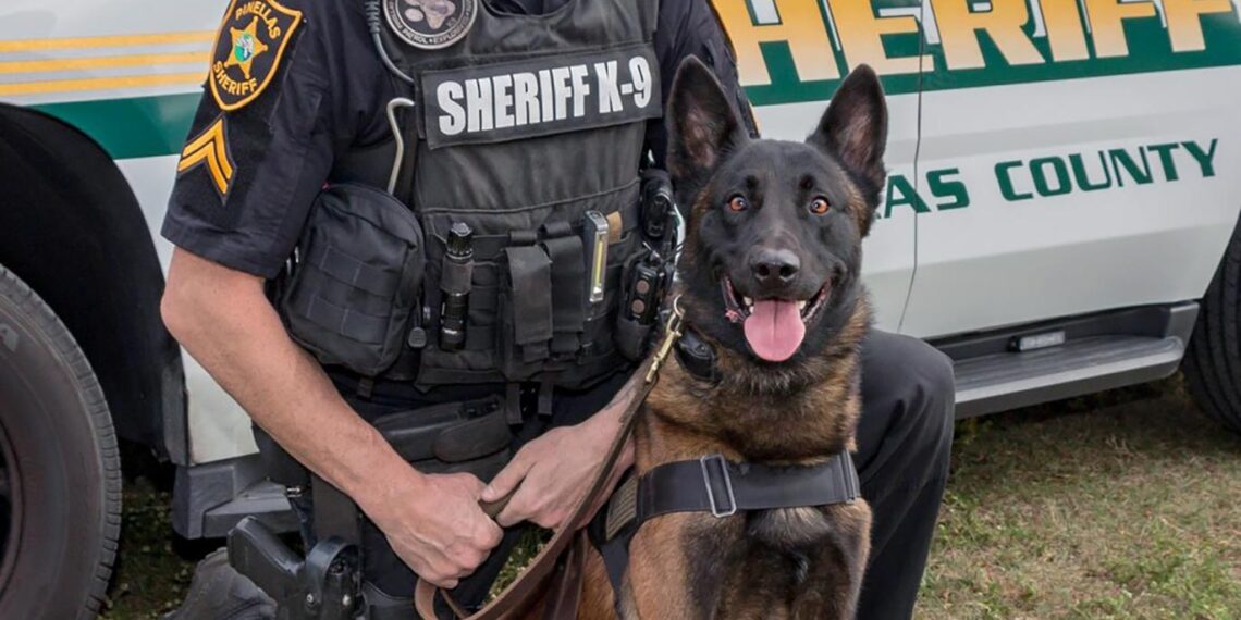 Wounded Florida deputy leaves hospital after being shot three times in ambush