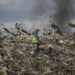 A waste picker walks past Marabou storks feeding on a mountain of rubbish in Nairobi, Kenya
