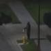 Knife-wielding man