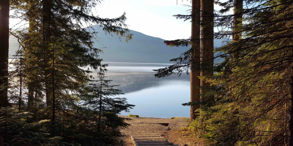 Lake with trees in the foreground
