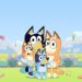 Bluey characters