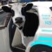Cow-9 Units: Using Bovines to Track and Capture Fleeing Criminals