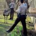 Minnesota deputies detain escaped emu looking for love in all the wrong places