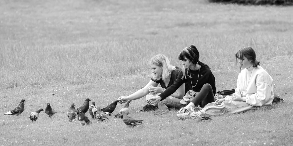 content girlfriends resting on grassy lawn and feeding pigeons