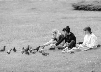 content girlfriends resting on grassy lawn and feeding pigeons