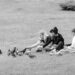 content girlfriends resting on grassy lawn and feeding pigeons