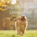 5 largest dog bite settlements