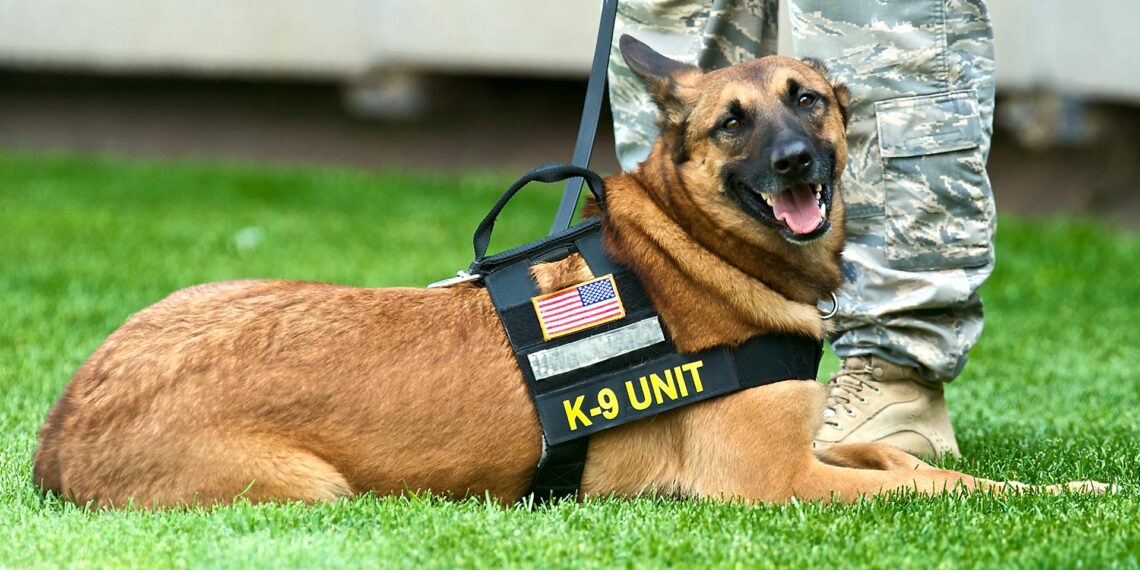 Controversial bill restricting use of police dogs stalls amid debate over racial bias and public safety