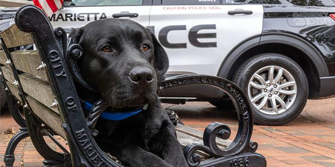 Georgia police K-9 saves woman in mental health crisis