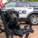 Georgia police K-9 saves woman in mental health crisis