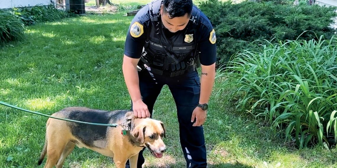 Des Moines first responders work swiftly to save pet dog from house fire