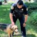 Des Moines first responders work swiftly to save pet dog from house fire