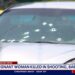 Car with bullet holes in windshield.