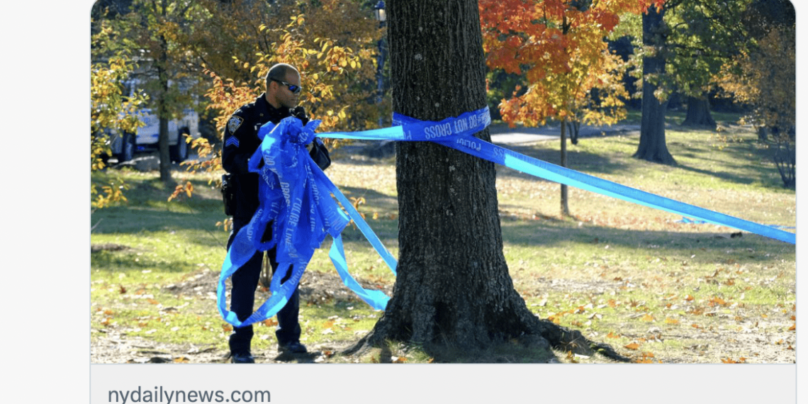 Dog fatally stabbed after dog walkers argue in Central Park – Law Officer