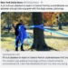 Dog fatally stabbed after dog walkers argue in Central Park – Law Officer