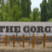 Army soldier accused of killing 2, wounding 3 at music festival in Washington – Law Officer