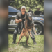Louisiana police K9 suffers heat-related death while tracking suspects – Law Officer