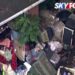 Dog crates piled outside Barbara Wible's home