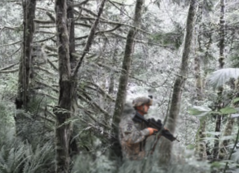 The Soldier: A Tale of Determination, Survival, and Imagination