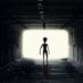 Las Vegas police respond to report of ’10-foot creature’ in yard – Law Officer