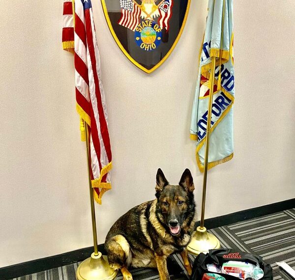 Ohio officer loses battle to keep K-9 partner after transferring departments
