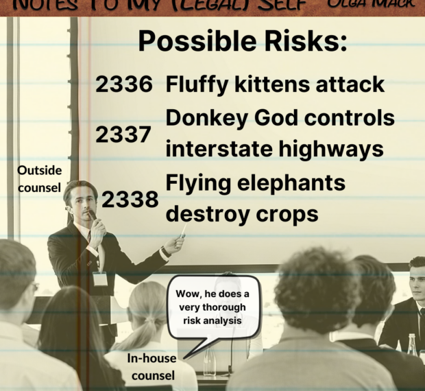 Possible risks