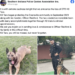 K9 Taro Has Died – Law Officer