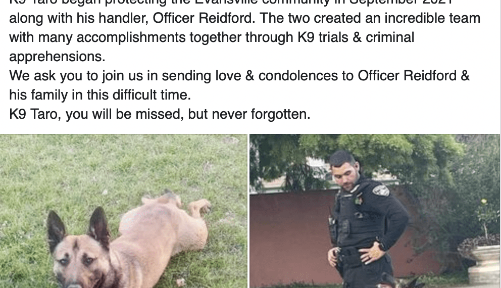 K9 Taro Has Died – Law Officer
