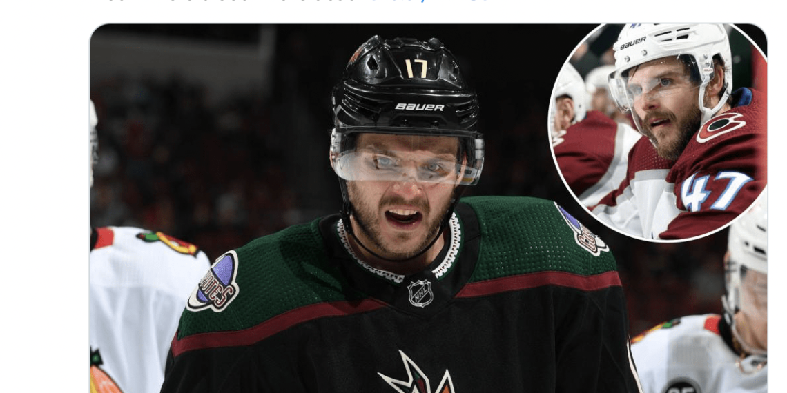 NHL player allegedly threatened to have police killed after his arrest – Law Officer