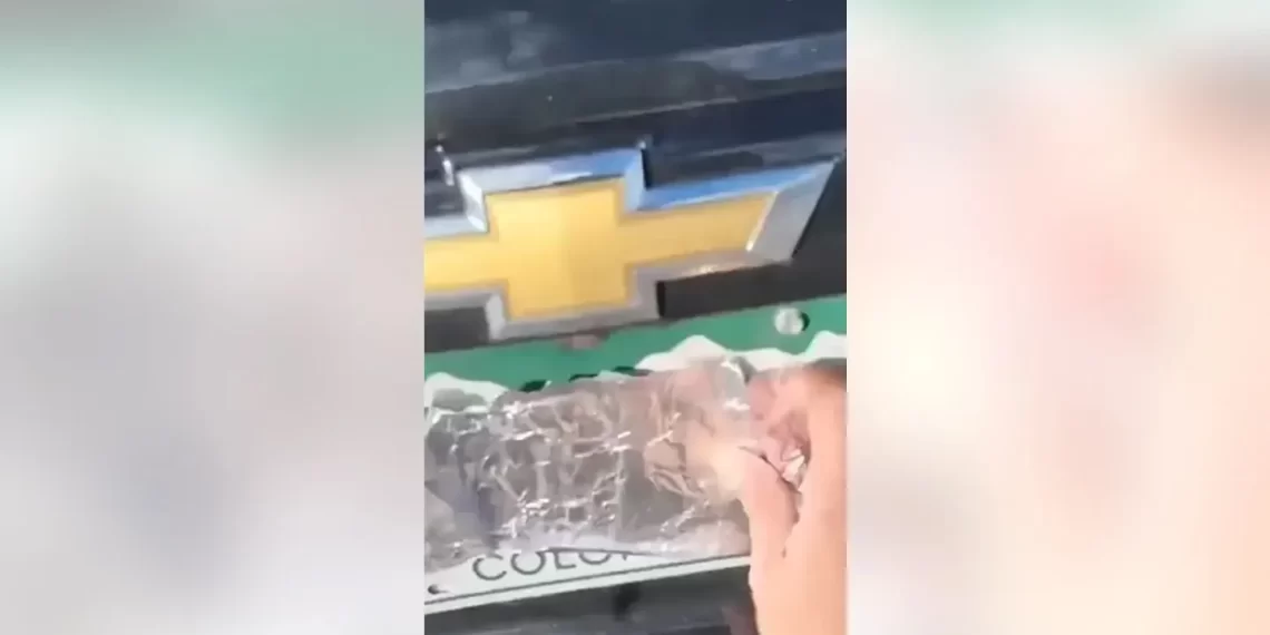 Army veteran fired for filming shoplifters – Law Officer