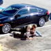 Transgender Man Punched Repeatedly by LA Deputy During Traffic Stop