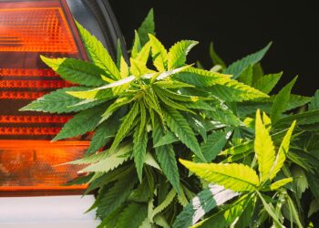 Wisconsin Supreme Court justifies probable cause for searches based on marijuana odor