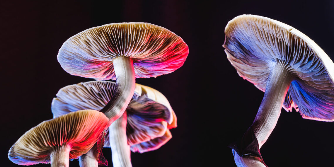 Minneapolis mayor decriminalizes psychedelics for personal use, citing mental health benefits