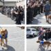 New York K-9 survives brutal stabbing attack, returns to active duty