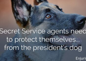 White house dog bites agents